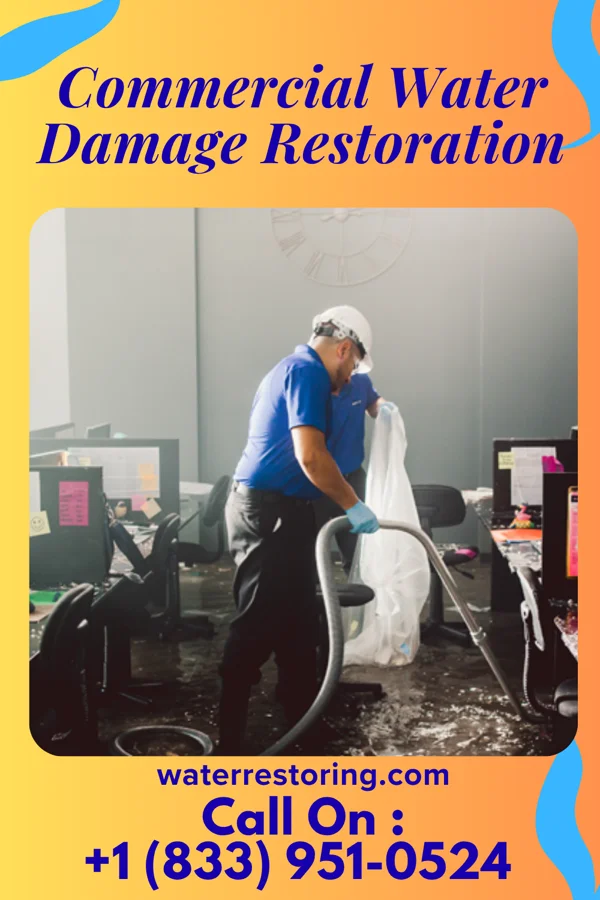 Commercial Water Damage Restoration in Terry, MS