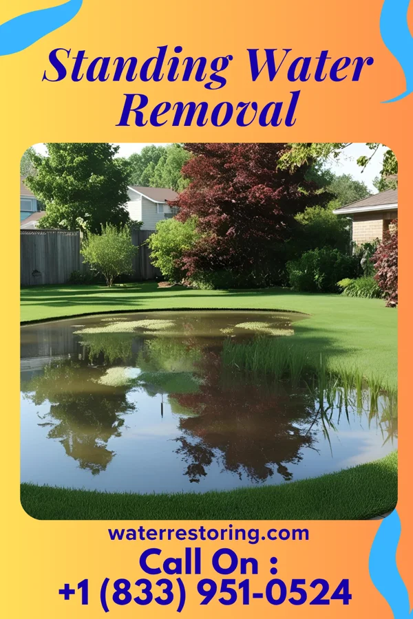 Standing Water Removal in Terry, MS